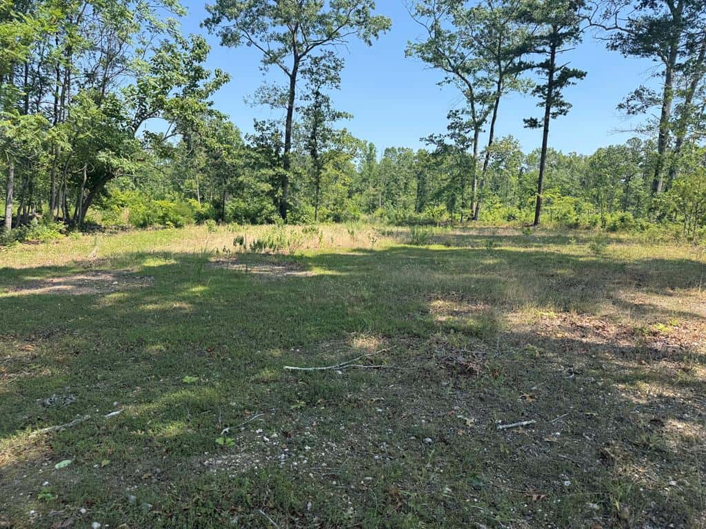 111 Acres of Prime Hunting & Recreation in Louisa County