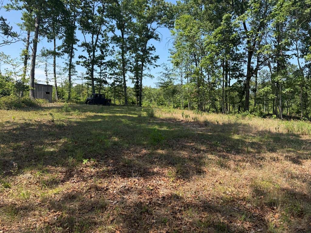 111 Acres of Prime Hunting & Recreation in Louisa County