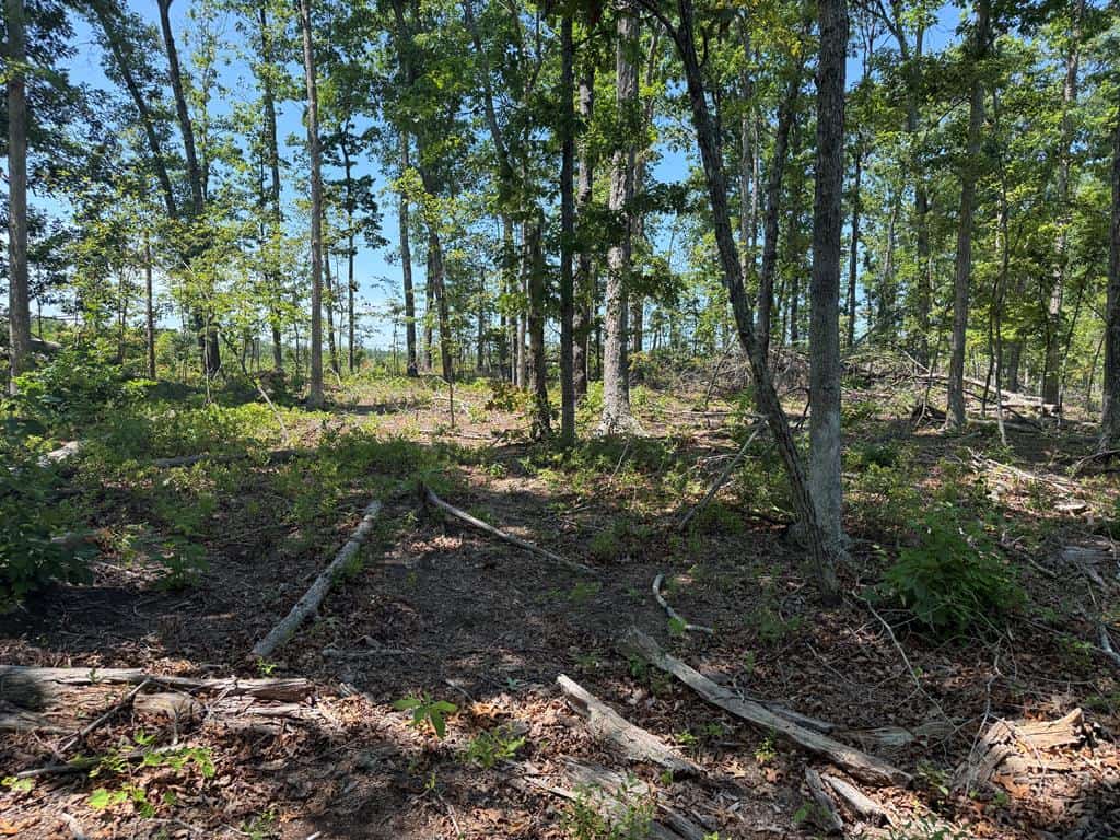 111 Acres of Prime Hunting & Recreation in Louisa County