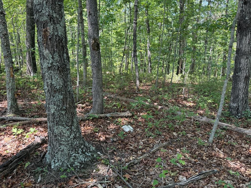 111 Acres of Prime Hunting & Recreation in Louisa County