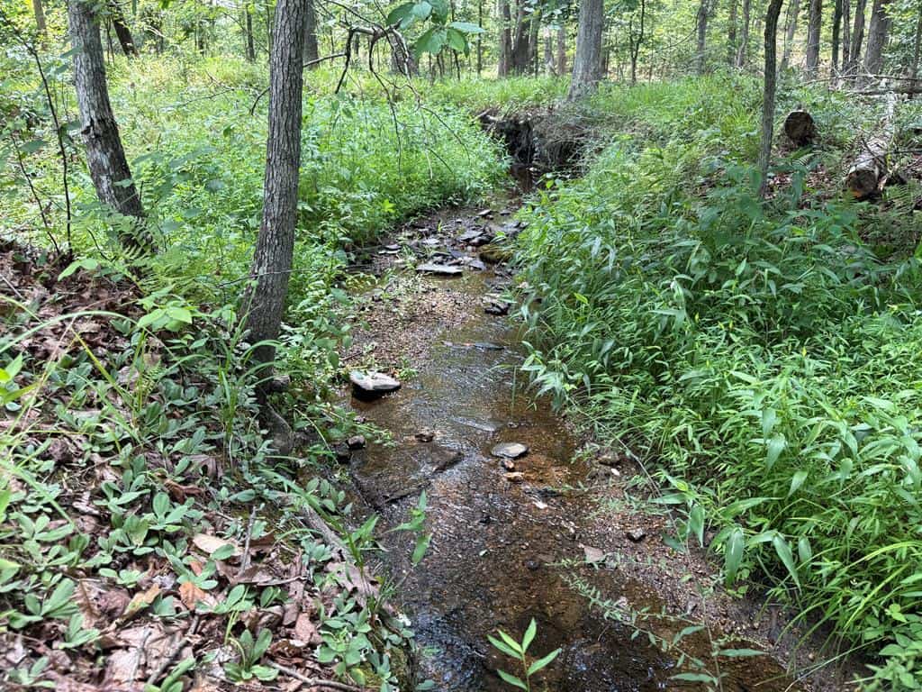 111 Acres of Prime Hunting & Recreation in Louisa County