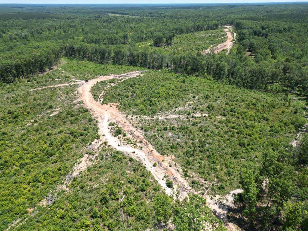 111 Acres of Prime Hunting & Recreation in Louisa County