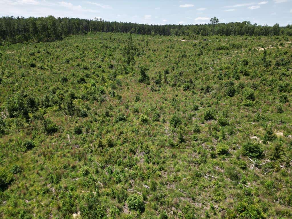 111 Acres of Prime Hunting & Recreation in Louisa County