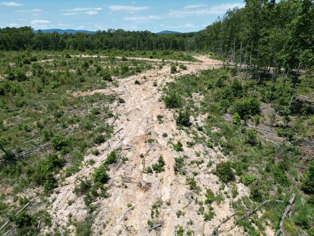 111 Acres of Prime Hunting & Recreation in Louisa County