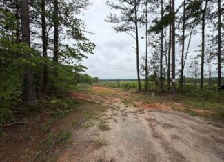 200± Acres Near Lake Gaston with Creek & Timber Potential