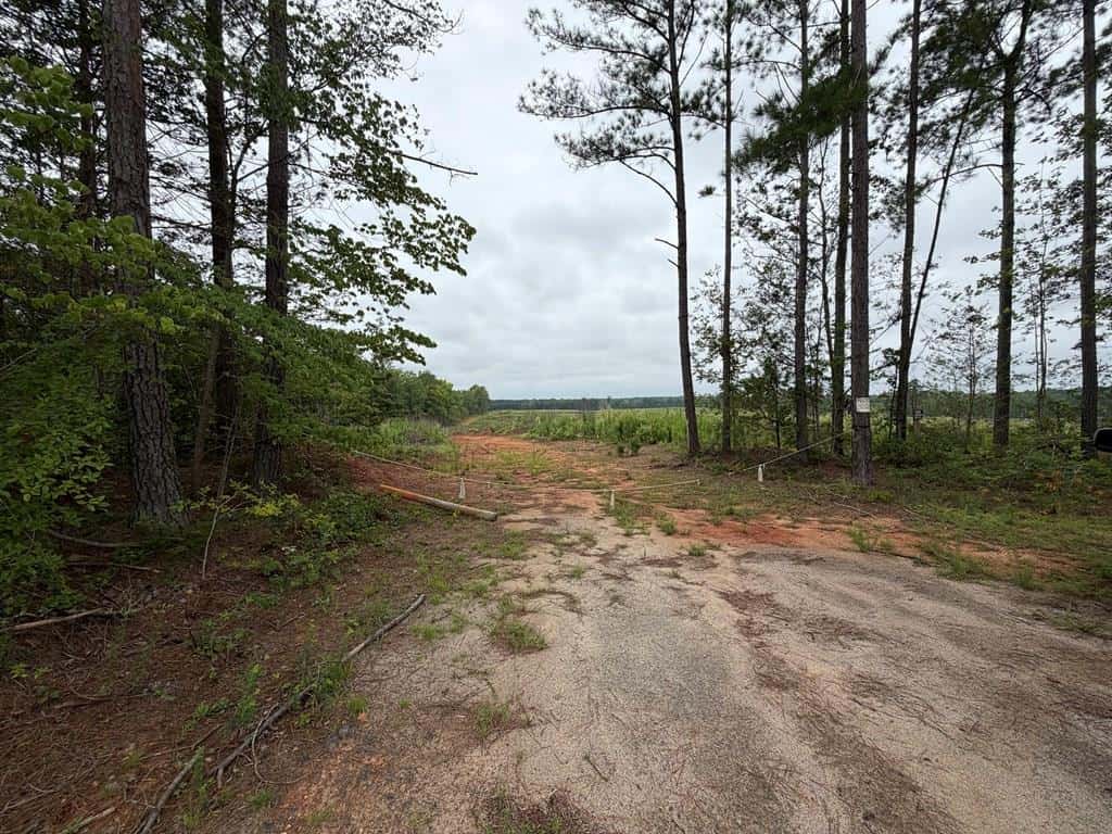 200± Acres Near Lake Gaston with Creek & Timber Potential