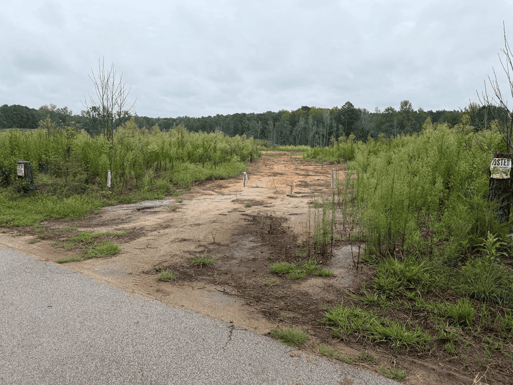 200± Acres Near Lake Gaston with Creek & Timber Potential