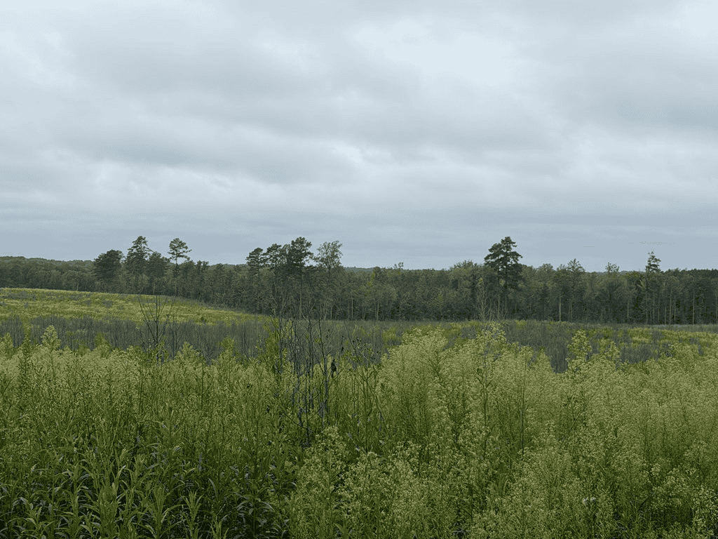 200± Acres Near Lake Gaston with Creek & Timber Potential