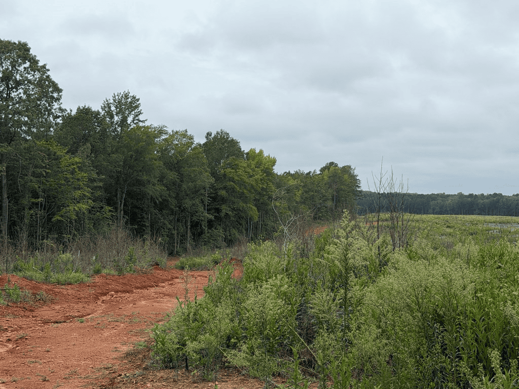 200± Acres Near Lake Gaston with Creek & Timber Potential