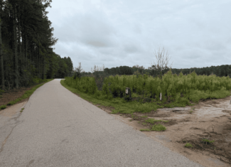 200± Acres Near Lake Gaston with Creek & Timber Potential