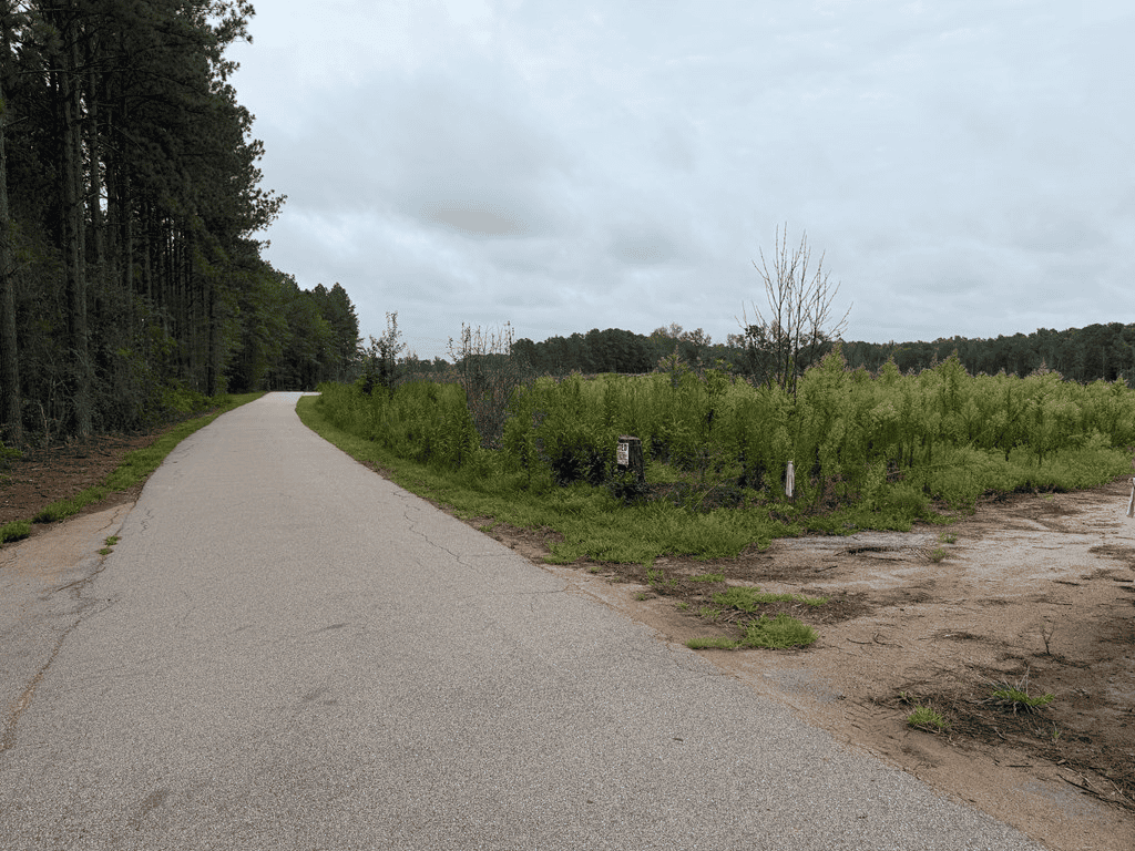 200± Acres Near Lake Gaston with Creek & Timber Potential