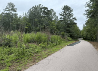 200± Acres Near Lake Gaston with Creek & Timber Potential
