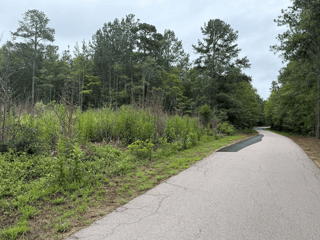 200± Acres Near Lake Gaston with Creek & Timber Potential