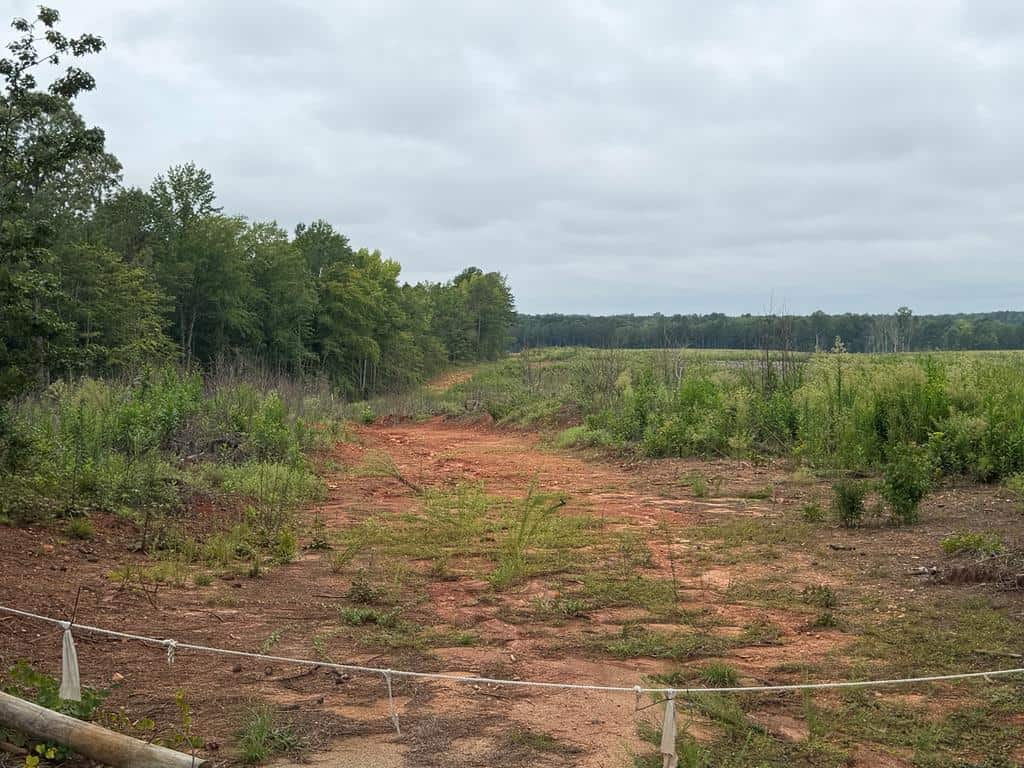 200± Acres Near Lake Gaston with Creek & Timber Potential