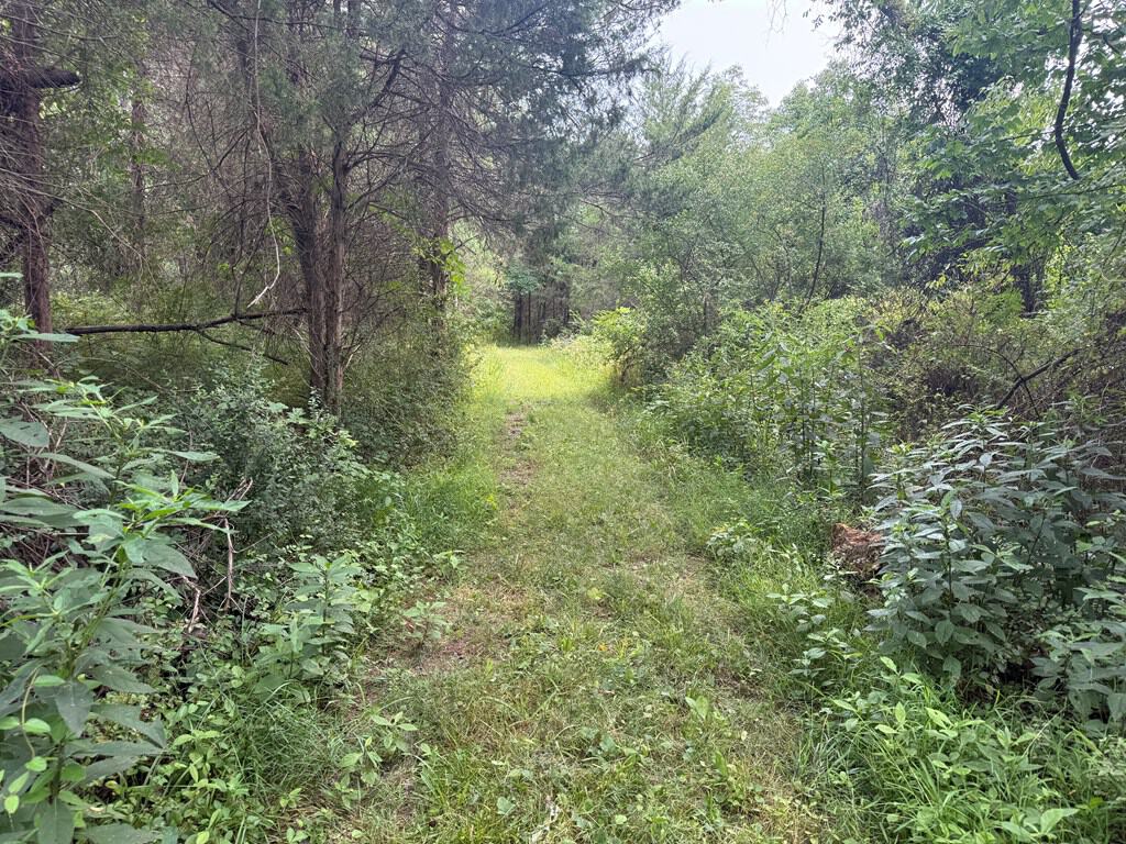 Rare 77-Acre Opportunity Near Historic Leesburg, VA