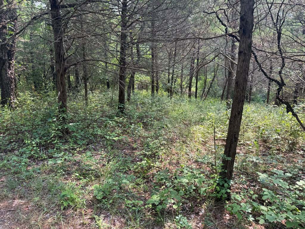 Rare 77-Acre Opportunity Near Historic Leesburg, VA