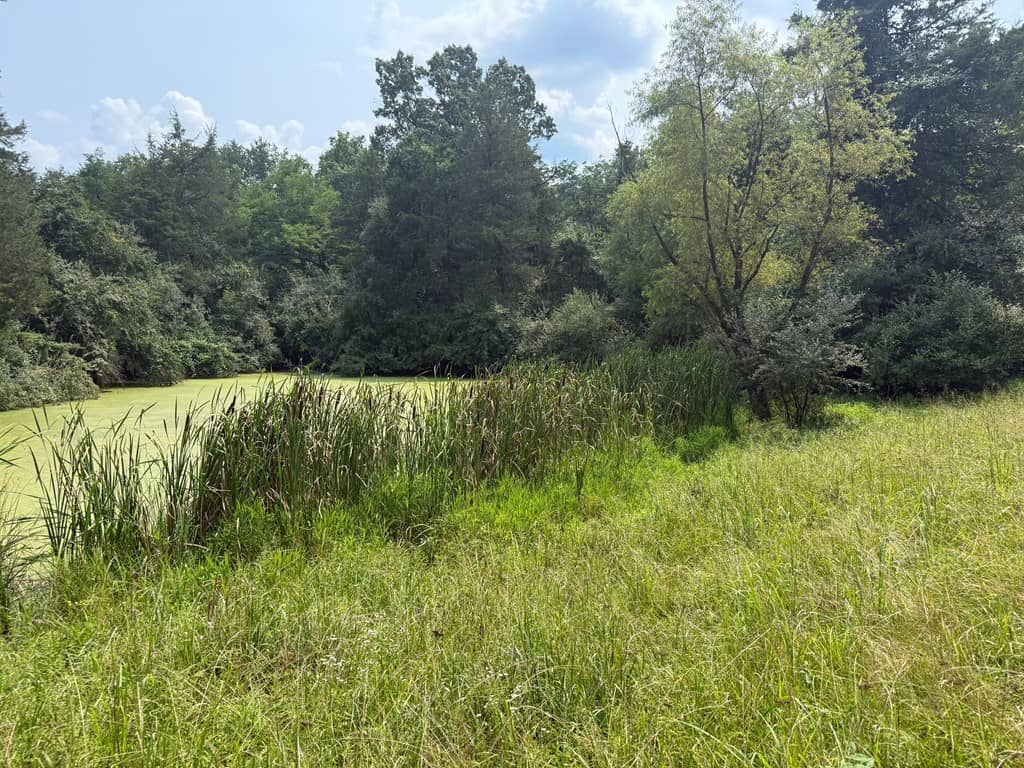 Rare 77-Acre Opportunity Near Historic Leesburg, VA