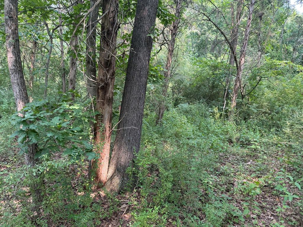 Rare 77-Acre Opportunity Near Historic Leesburg, VA