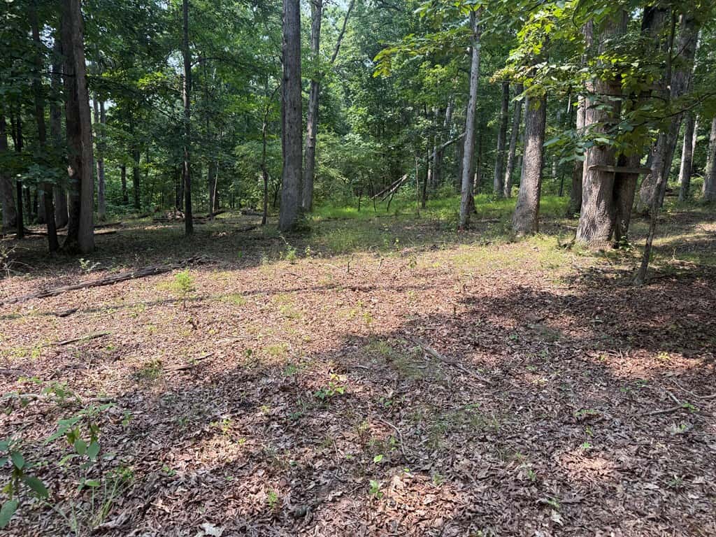 Rare 77-Acre Opportunity Near Historic Leesburg, VA
