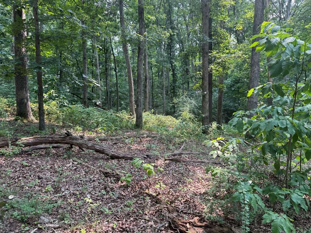Rare 77-Acre Opportunity Near Historic Leesburg, VA