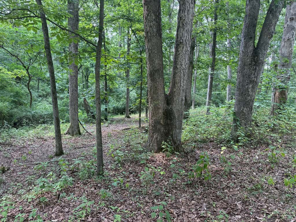 Rare 77-Acre Opportunity Near Historic Leesburg, VA