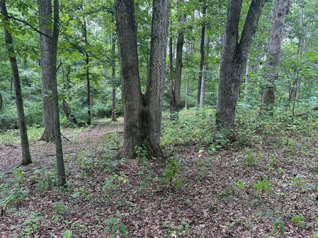 Rare 77-Acre Opportunity Near Historic Leesburg, VA