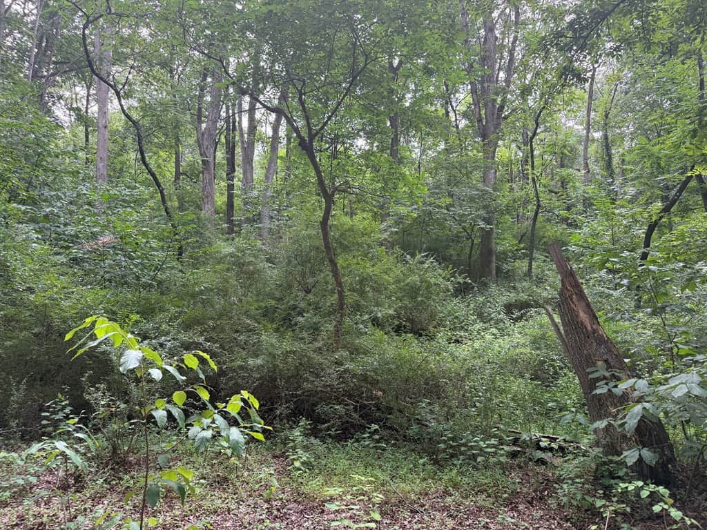 Rare 77-Acre Opportunity Near Historic Leesburg, VA