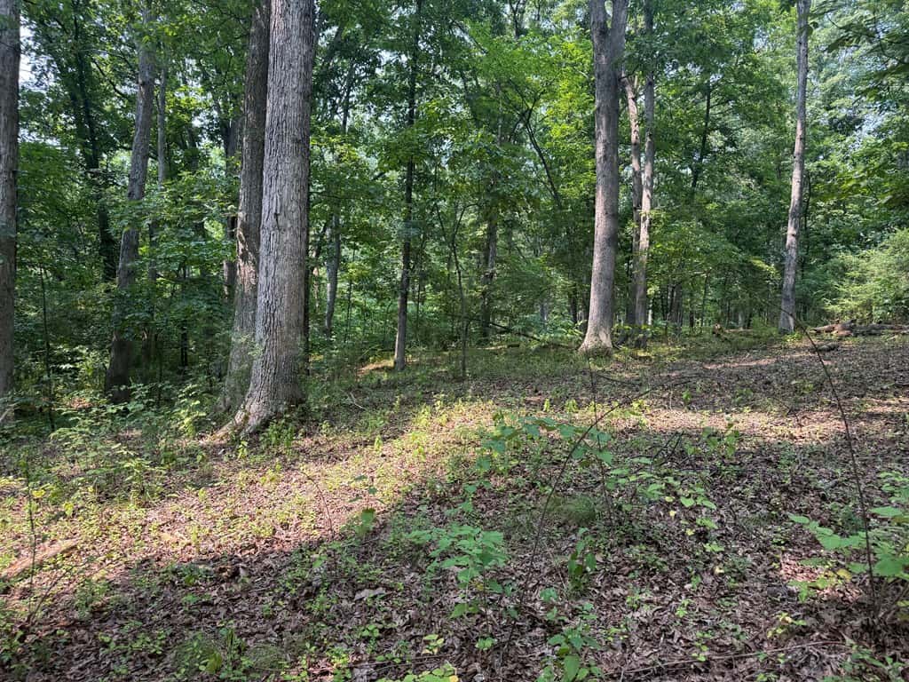Rare 77-Acre Opportunity Near Historic Leesburg, VA