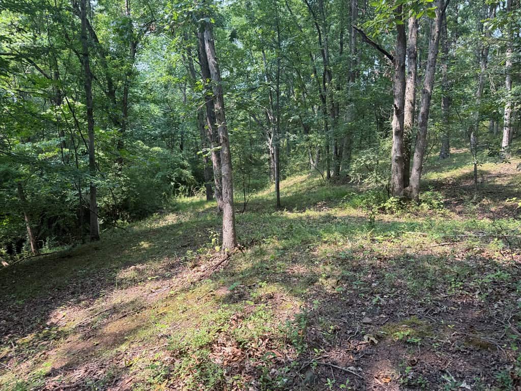 Rare 77-Acre Opportunity Near Historic Leesburg, VA