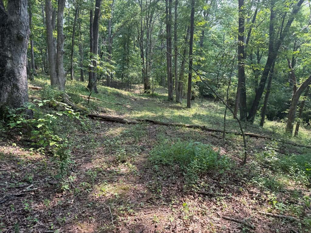 Rare 77-Acre Opportunity Near Historic Leesburg, VA