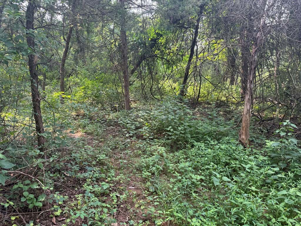 Rare 77-Acre Opportunity Near Historic Leesburg, VA