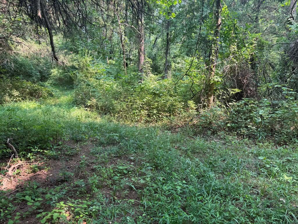 Rare 77-Acre Opportunity Near Historic Leesburg, VA