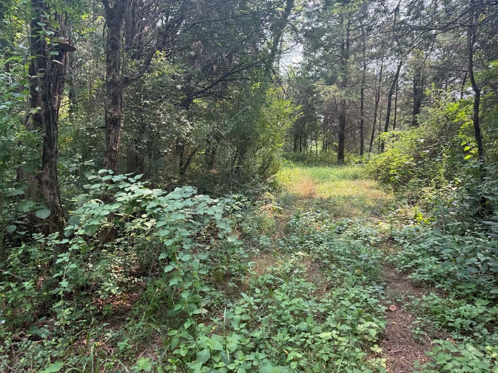Rare 77-Acre Opportunity Near Historic Leesburg, VA
