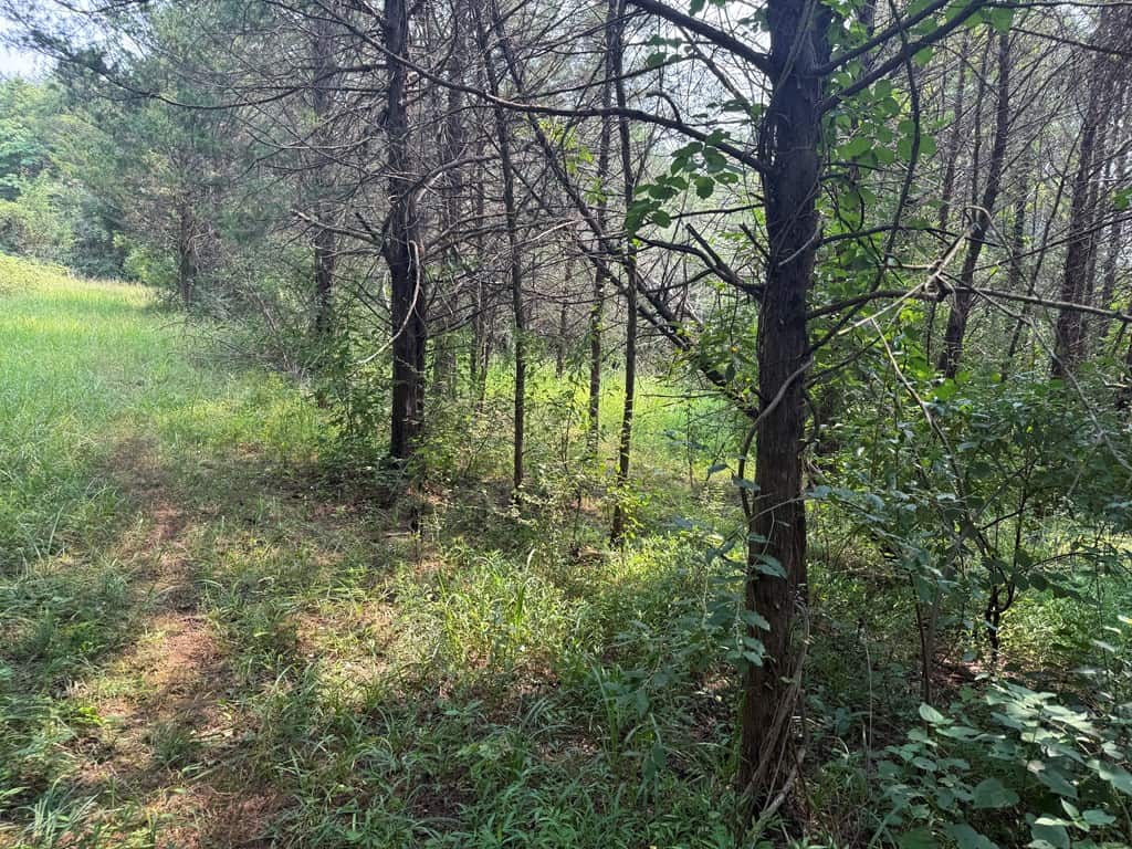 Rare 77-Acre Opportunity Near Historic Leesburg, VA