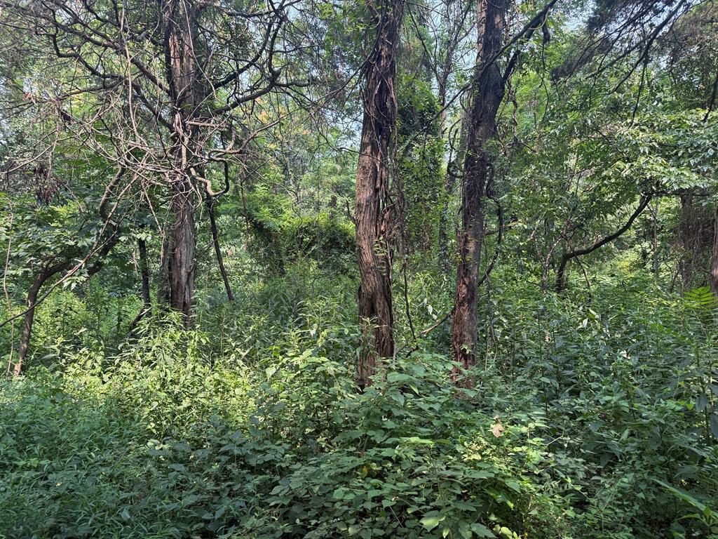 Rare 77-Acre Opportunity Near Historic Leesburg, VA