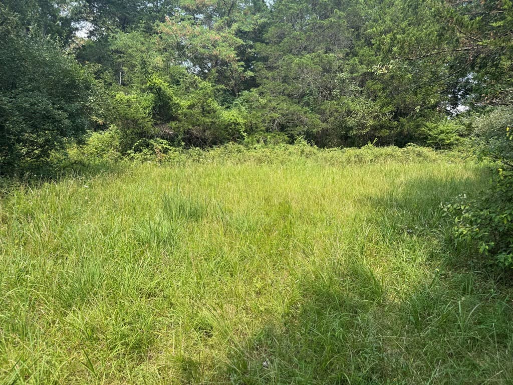 Rare 77-Acre Opportunity Near Historic Leesburg, VA