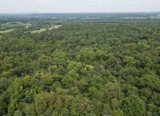 Rare 77-Acre Opportunity Near Historic Leesburg, VA
