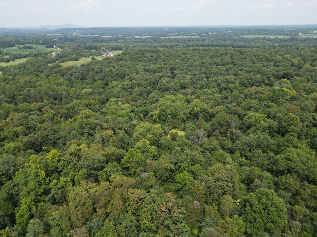 Rare 77-Acre Opportunity Near Historic Leesburg, VA
