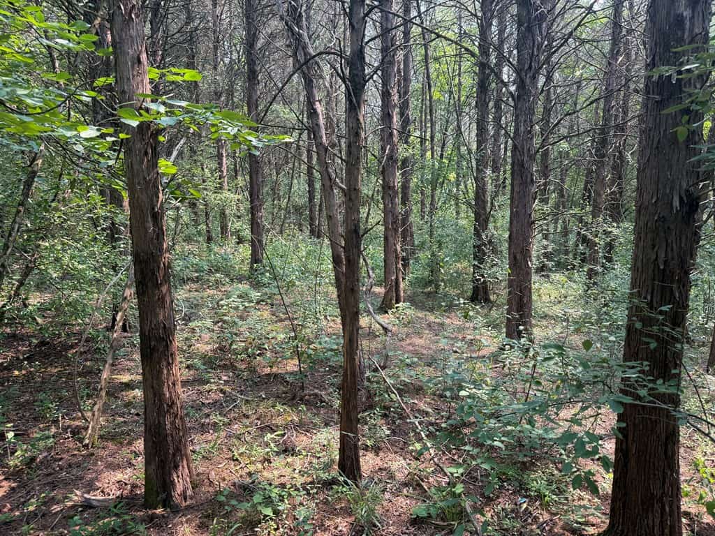 Rare 77-Acre Opportunity Near Historic Leesburg, VA