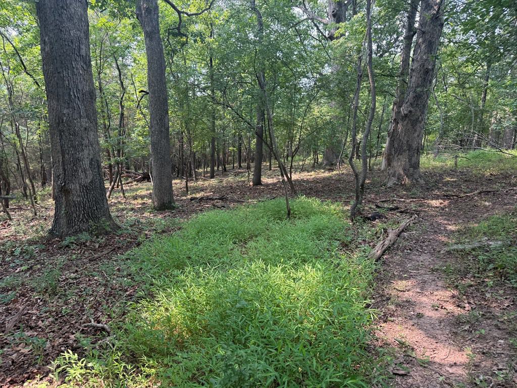 Rare 77-Acre Opportunity Near Historic Leesburg, VA