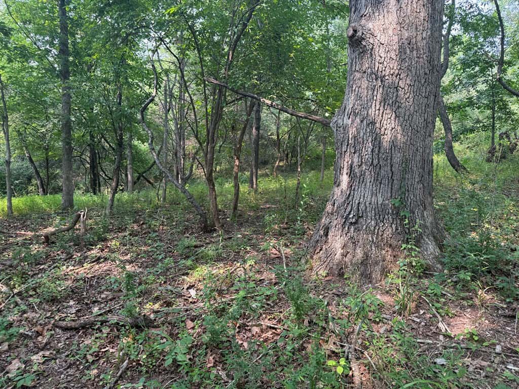Rare 77-Acre Opportunity Near Historic Leesburg, VA