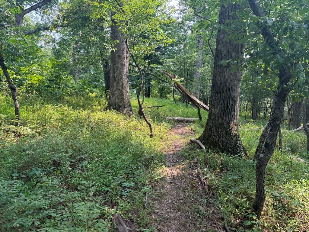 Rare 77-Acre Opportunity Near Historic Leesburg, VA
