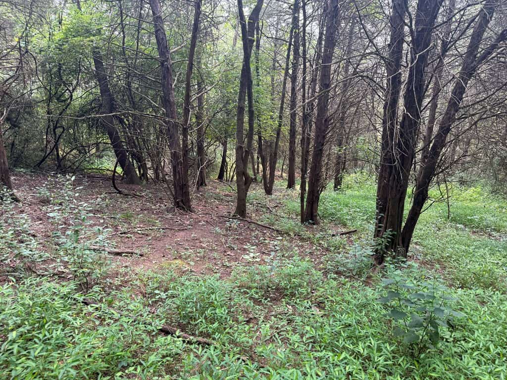 Rare 77-Acre Opportunity Near Historic Leesburg, VA