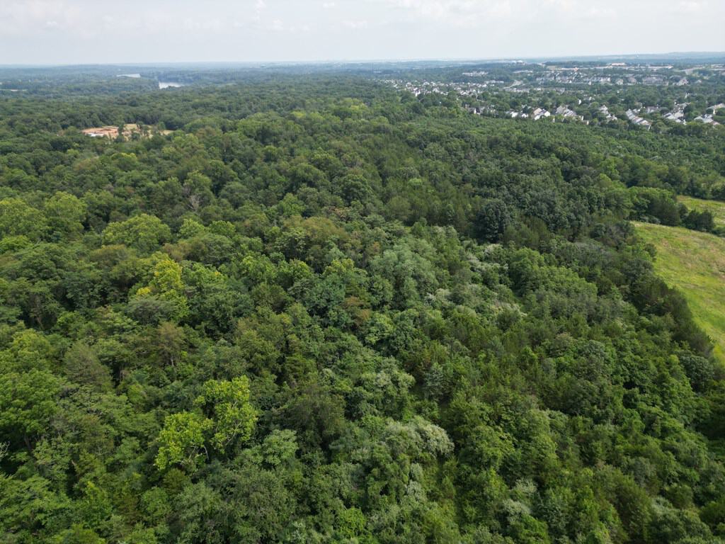 Rare 77-Acre Opportunity Near Historic Leesburg, VA