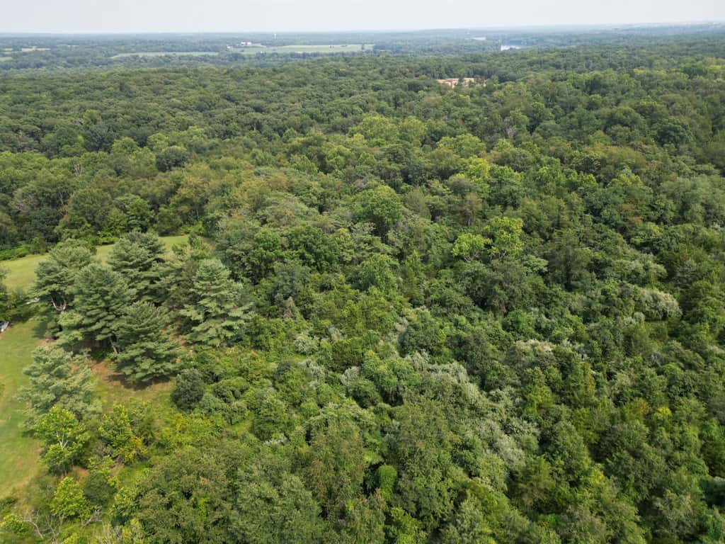 Rare 77-Acre Opportunity Near Historic Leesburg, VA