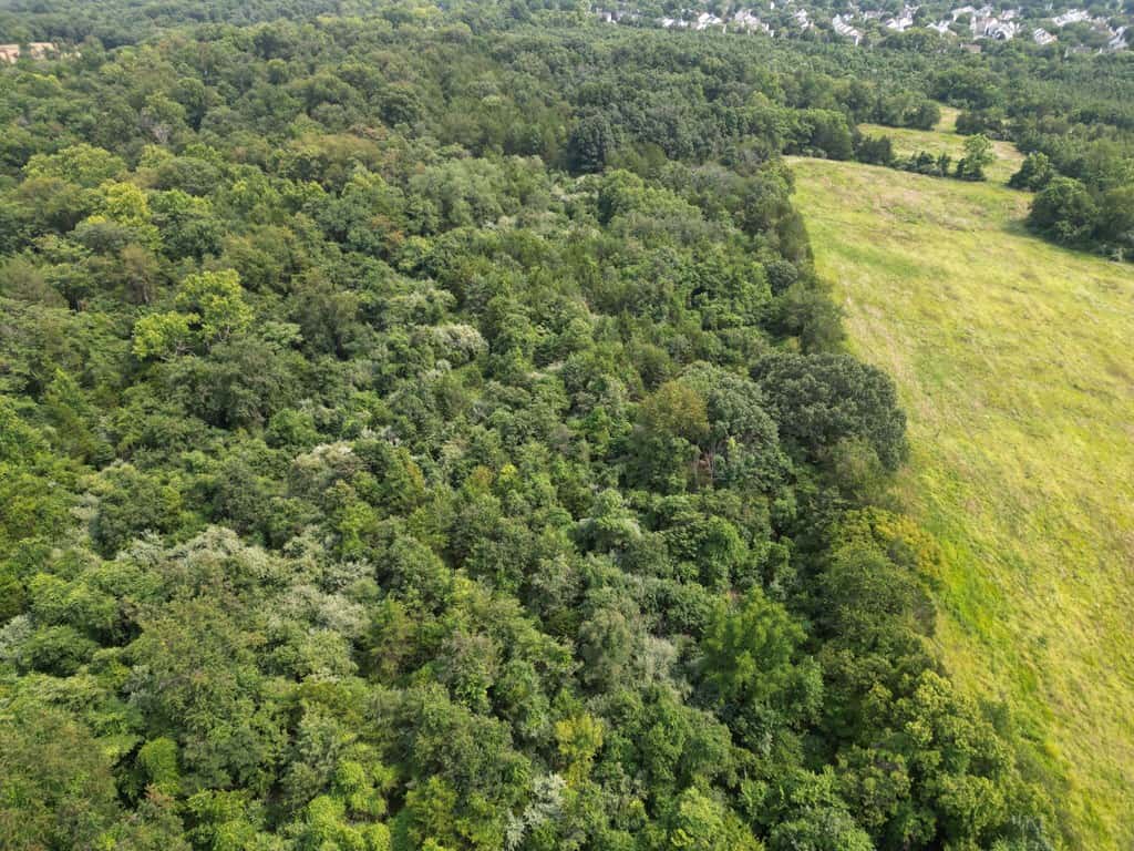 Rare 77-Acre Opportunity Near Historic Leesburg, VA
