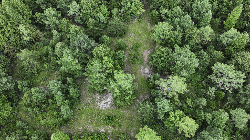 118 Acres of Riverfront Mountain Paradise