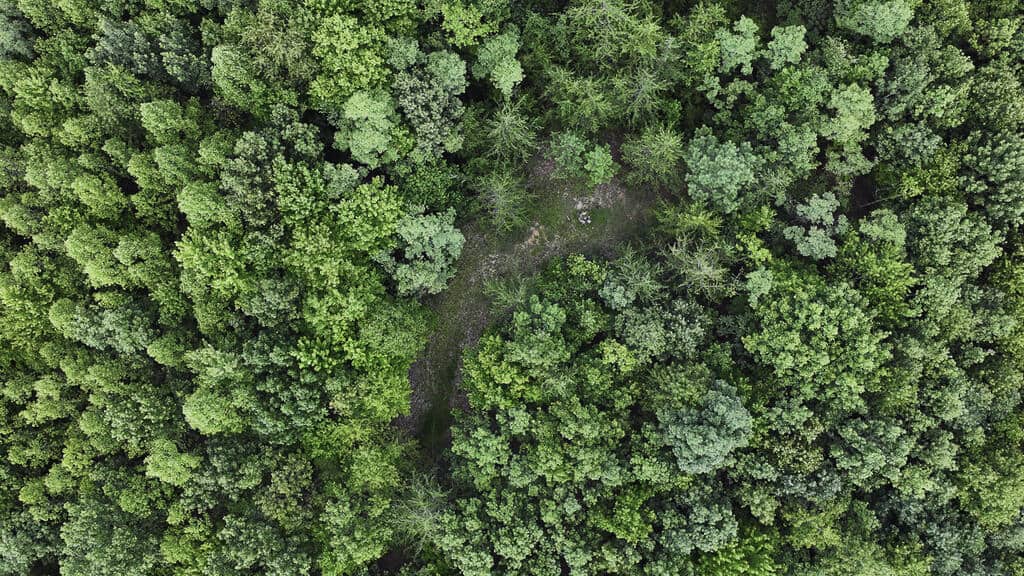 118 Acres of Riverfront Mountain Paradise
