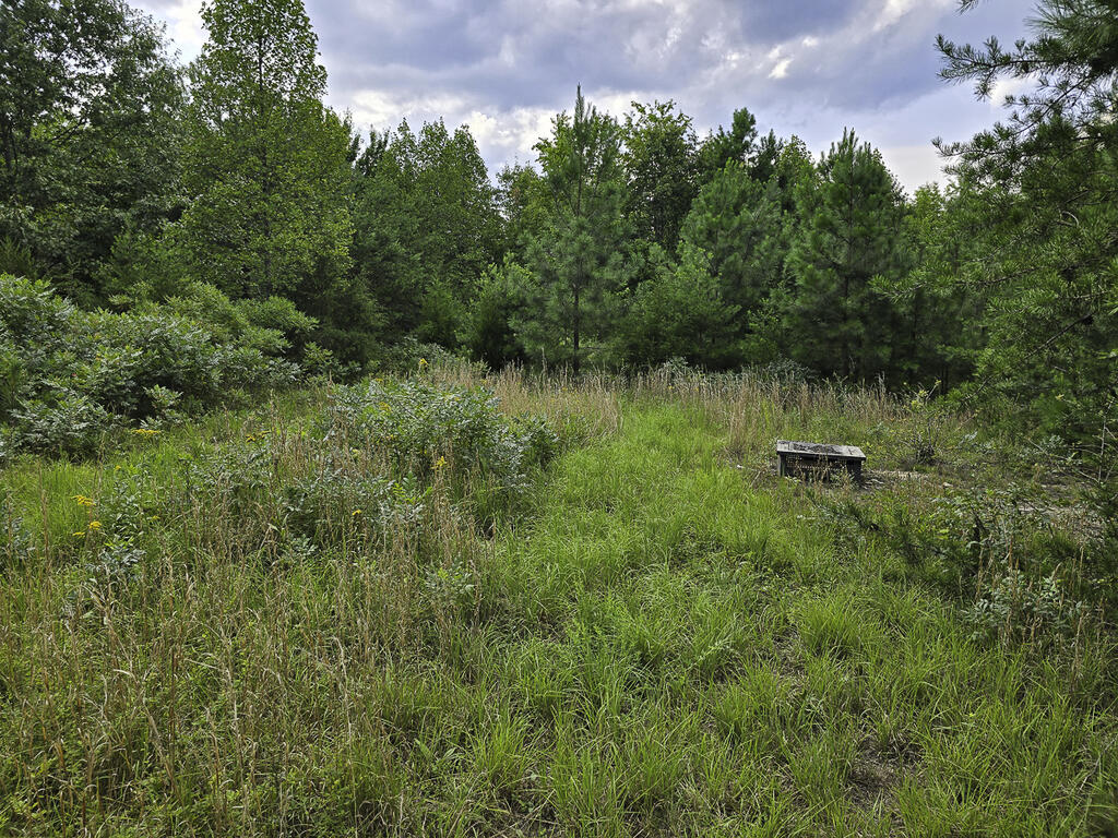 118 Acres of Riverfront Mountain Paradise