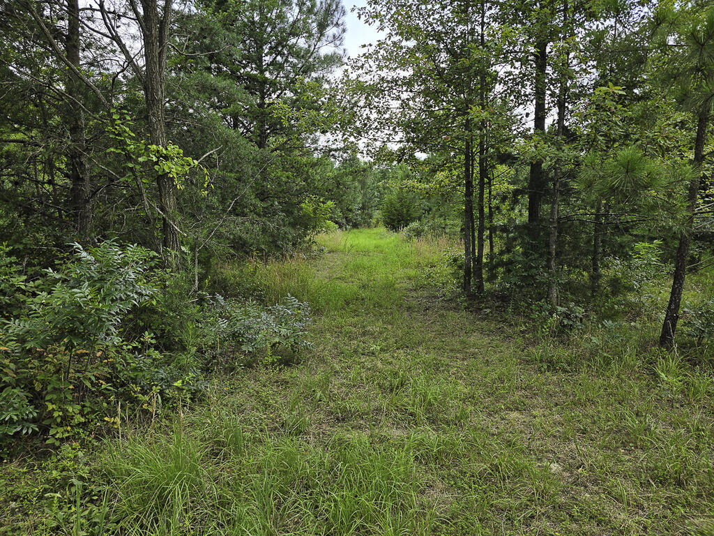 118 Acres of Riverfront Mountain Paradise
